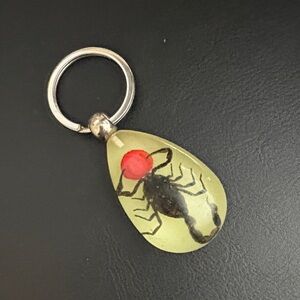 Pre owned Keychain Black Scorpion Resin Key Ring Glow in the Dark Pendents